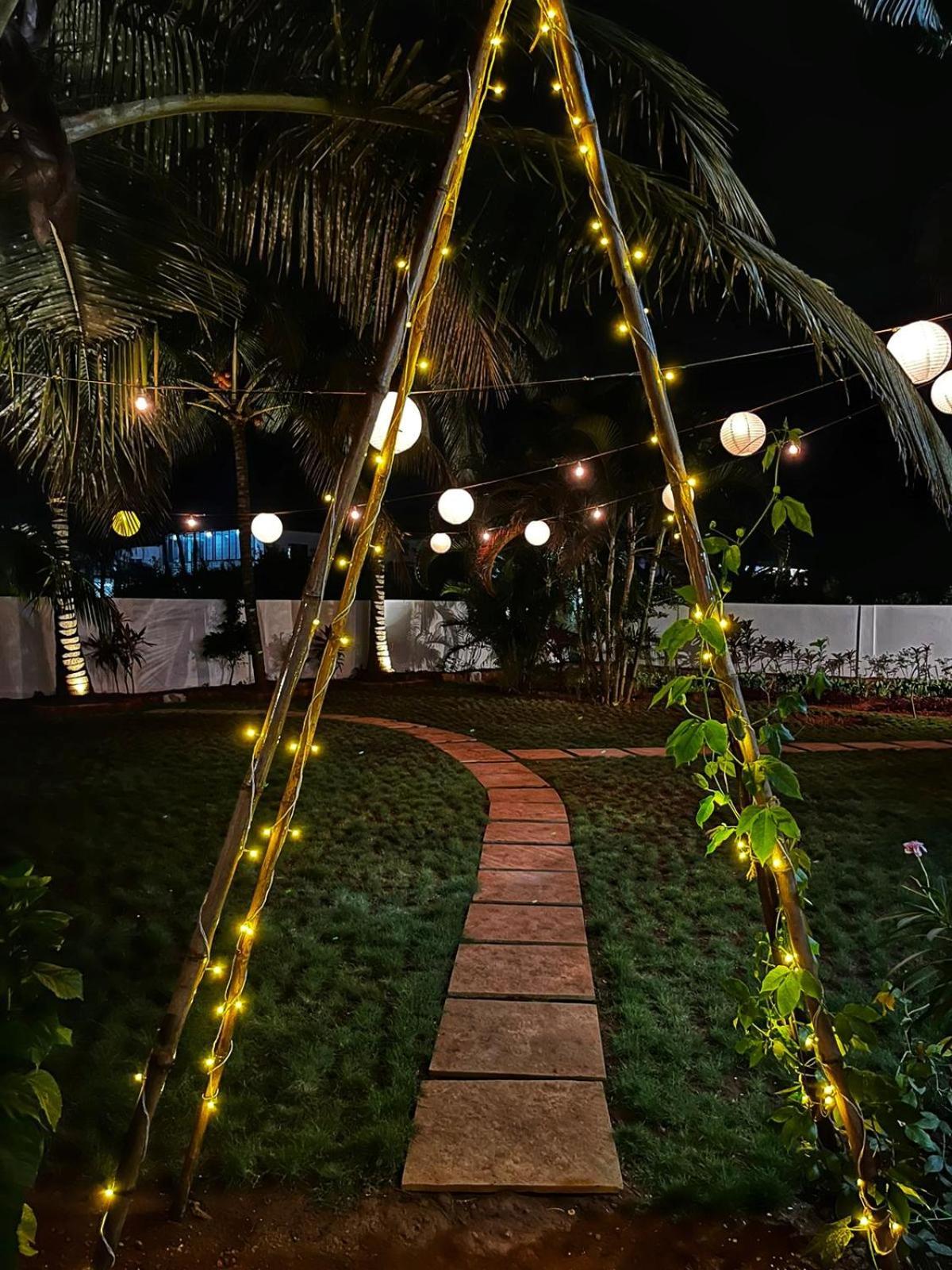 Sols Backyard *
