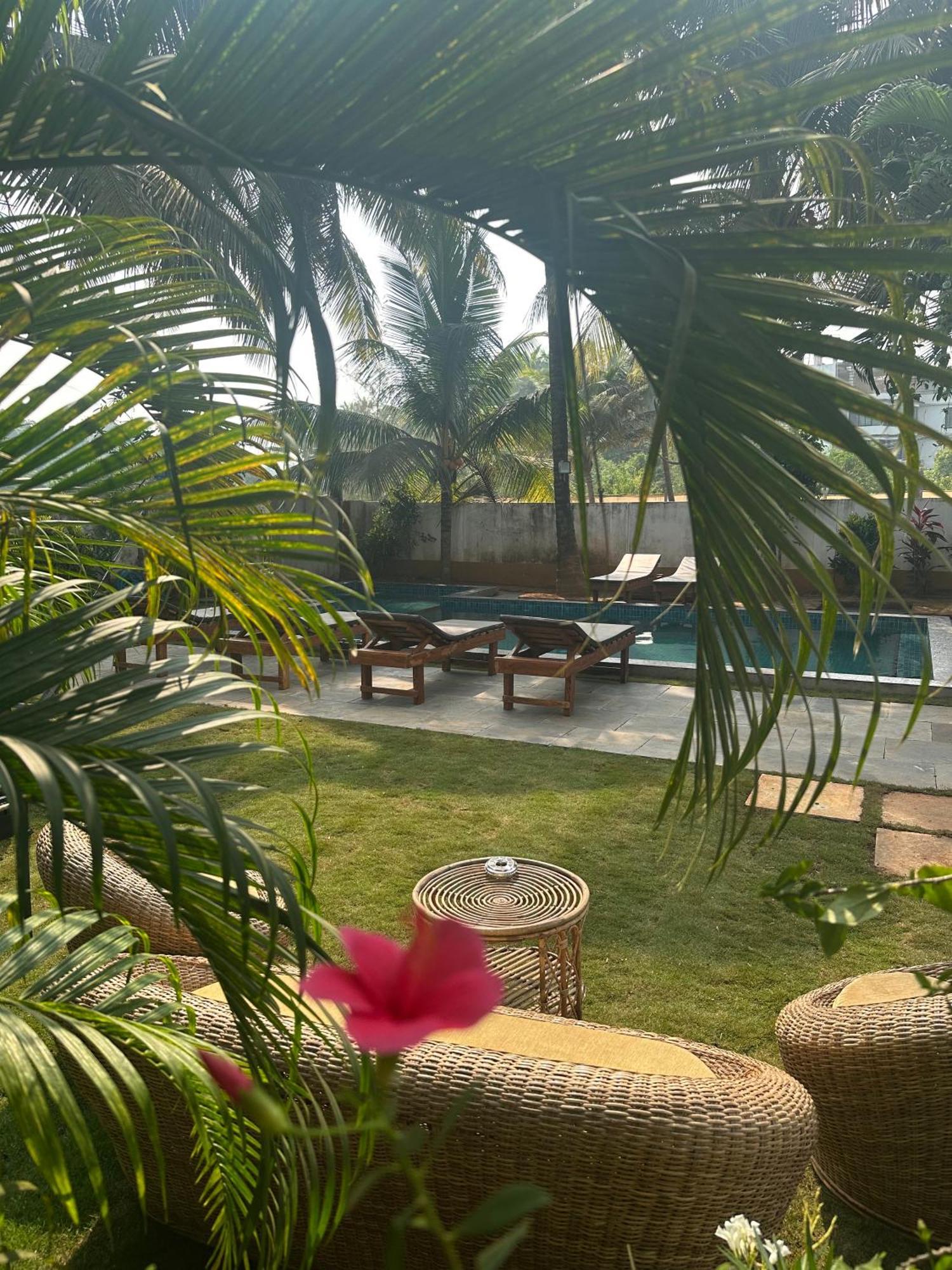 Homestay Sols Backyard *