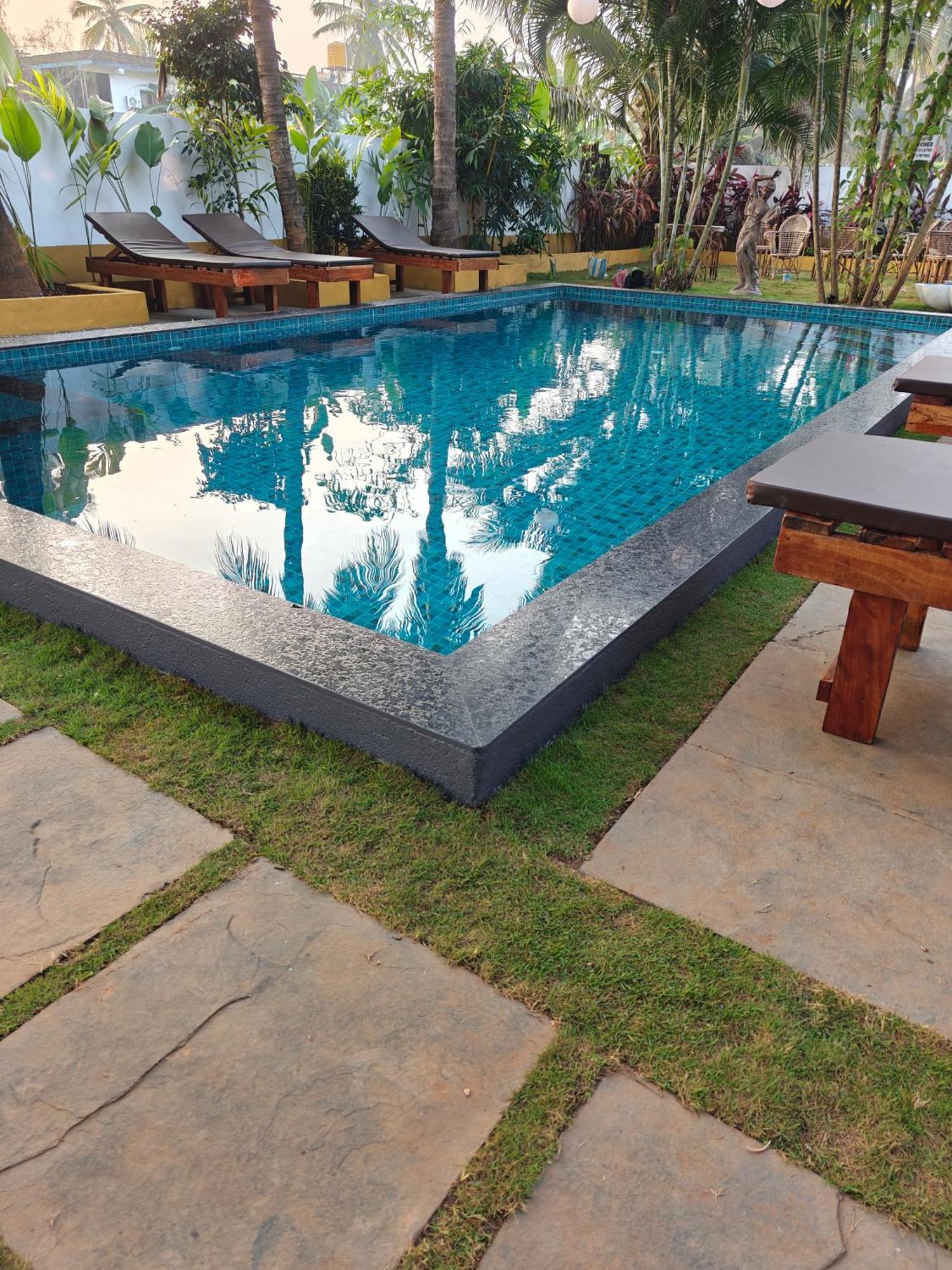 Sols Backyard Arambol
