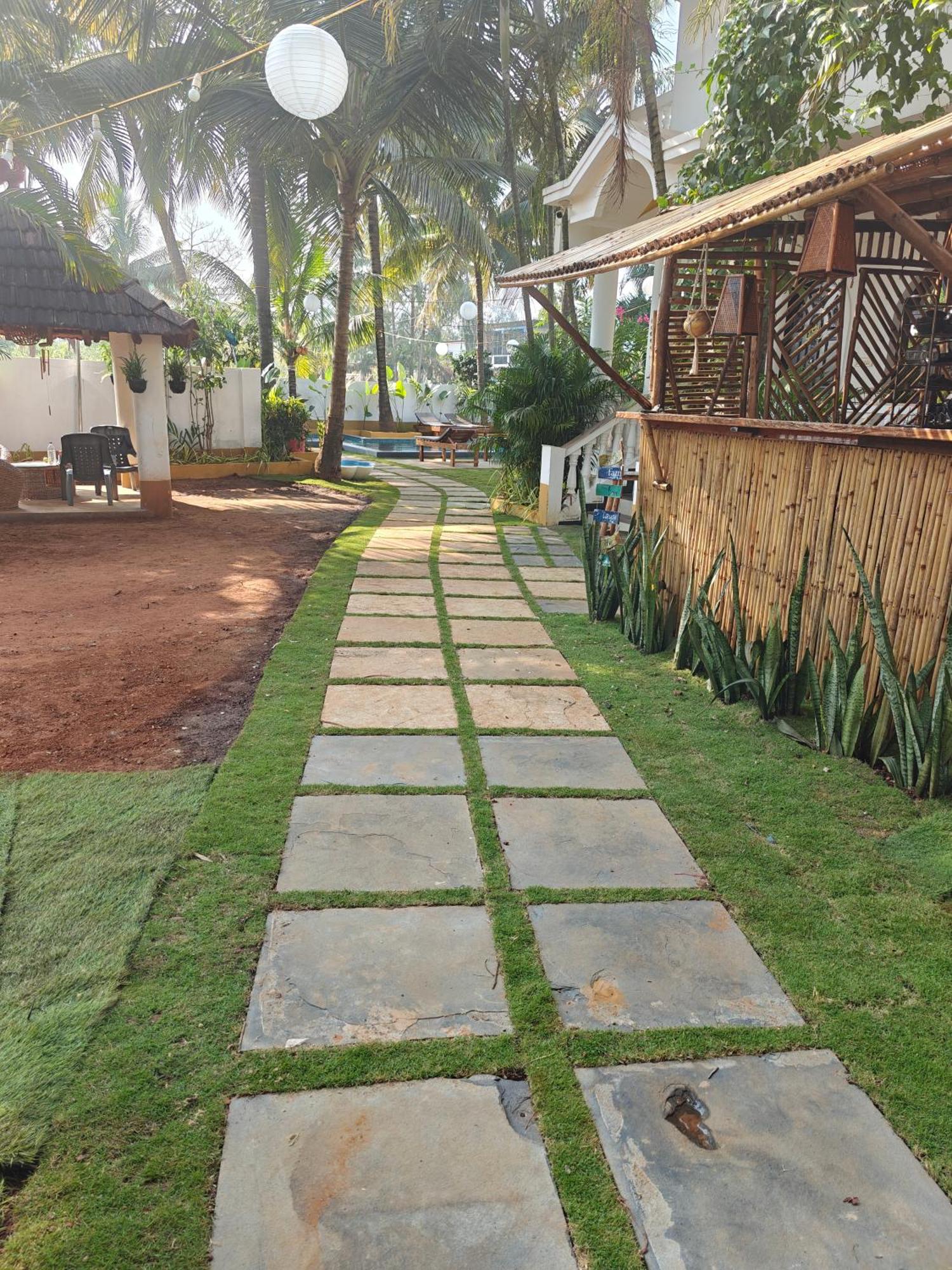 Sols Backyard * Arambol