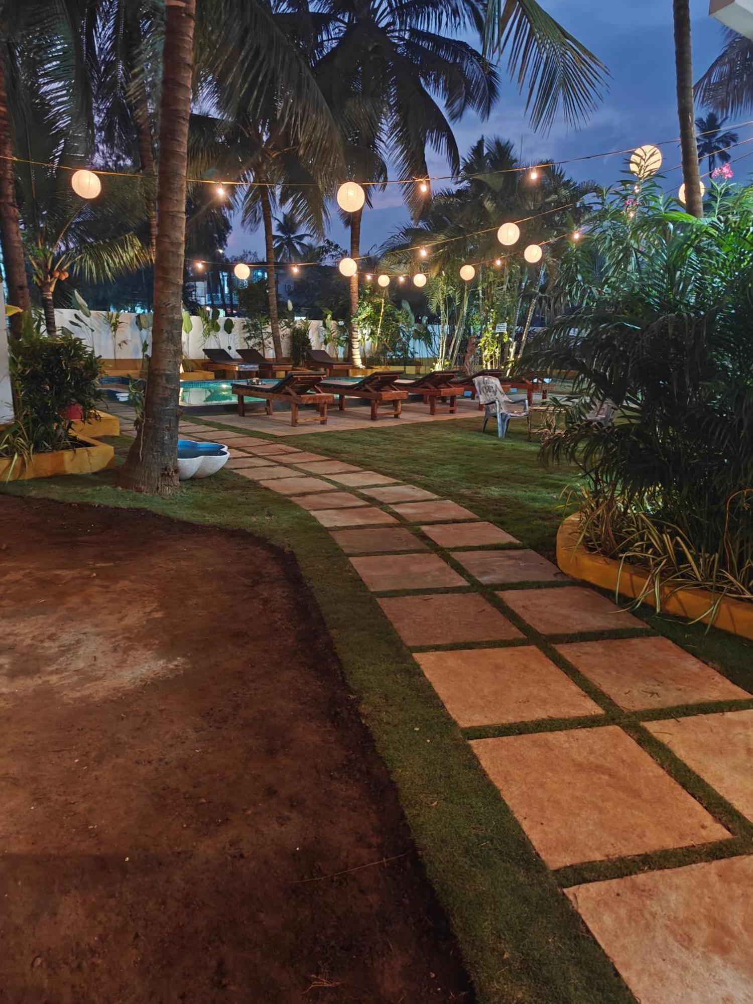 Sols Backyard *