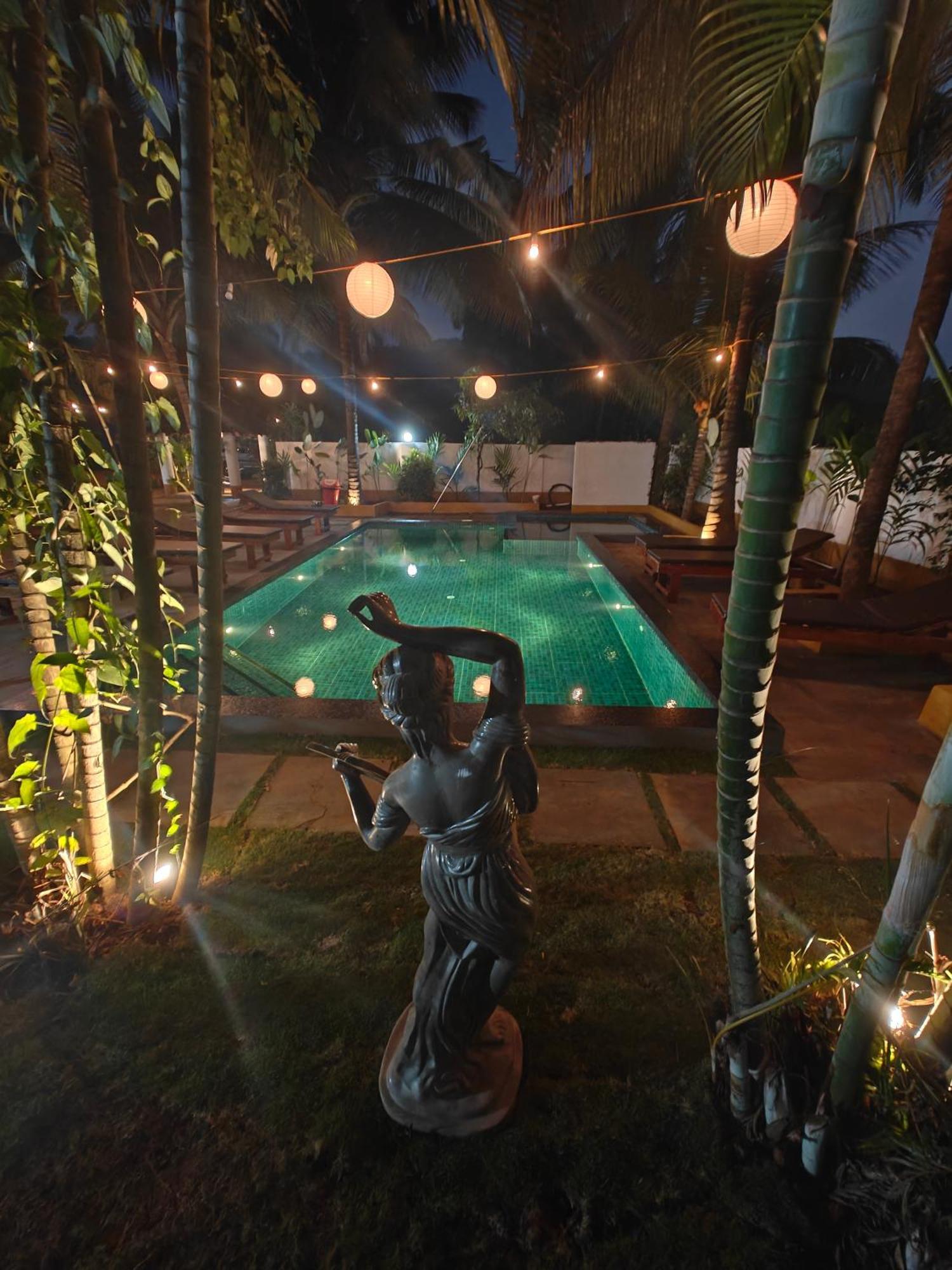 Sols Backyard
